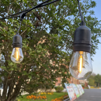 3V 12V 110V 220V 1W 2W 4W incassable éclairage de vacances S14 extérieur guirlandes lumineuses Edison Led ampoules