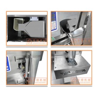 Offre Spéciale DZD-220 – Machine d'emballage automatique économique pour petits sachets de thé, noix et café avec fonction de pesage et d'impression de date
