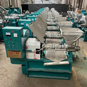 6 Yl 100 Expeller Oil Press Commercial Stainless Steel Oil Cold Pres Machine Sesame Machine Screw Multifunctional Oil Expeller