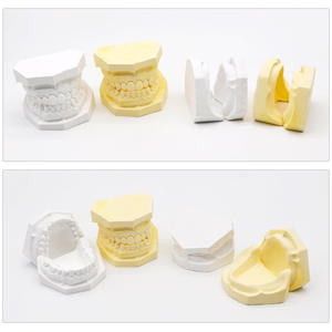 Modèles de plâtre dentaire électriques pour l'enseignement, mâchoire supérieure et inférieure sans dents, modèles de cavité buccale - Product Image 4