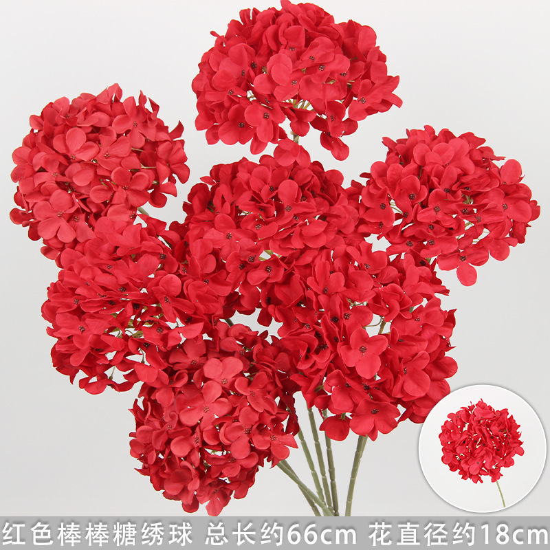Hortensia sucette rouge