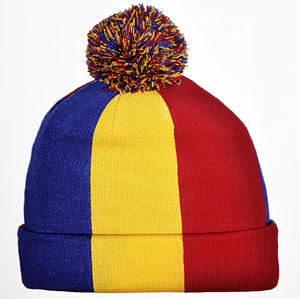 Nx 2025 campagne fournisseur bonnet tricoté drapeau national élection chapeau Offre Spéciale bonne qualité chapeaux de fête - Product Image 3