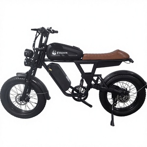 Bicicleta Eléctrica Urbana de Montaña de Estilo Retro, de Una Velocidad, con Motor sin Escobillas, Asistencia al Pedaleo, Neumático Grueso de 20 Pulgadas, Batería de Litio Integrada - Product Image 4