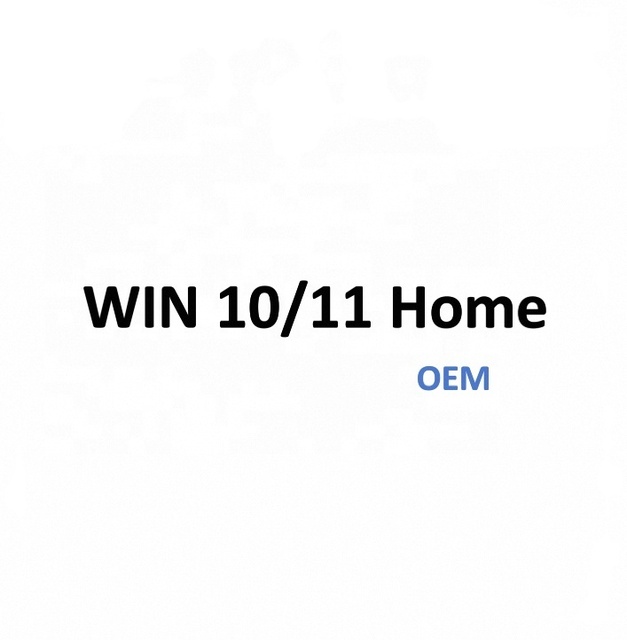 100% Online Activation for 10 11 Pro Home Software Lifetime License Stock Networking & Server Global Use