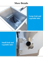 Professionele Groente- en Fruit Shred Slice Dice Snijmachine Elektrische 220V 110V Groenten Shredder Slicer Dicer Commercieel