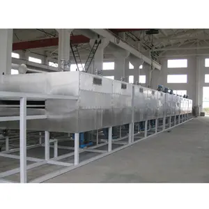 Melhor venda DW Hot Air Circulating Mesh Belt Dryer Conveyor Dryer para Hericium