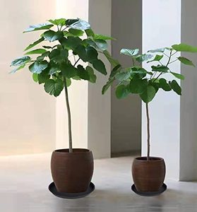 Platillo de plantas negro, maceta grande pesada, bandejas de plantas de plástico más gruesas duraderas para interiores y exteriores, bandejas de goteo para platillos de plantas - Product Image 2