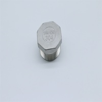 Raccord de tuyauterie en acier inoxydable 304 316, bouchon hexagonal, NPT BSPP BSPT, classe de pression 150LB