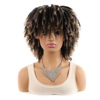 Perruque Dreadlock Courte Bouclée Effet Naturel, Faite à la Machine, en Fibre Haute Température, Sans Colle, pour Tresses au Crochet