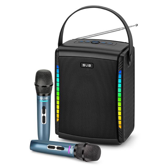 Portable Wireless Speaker with Dual Microphones, LED Lights, Bluetooth 5.3,  3-6H Playtime, Home KTV/Outdoor Party Audio System