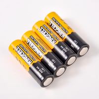 Pile alcaline AA LR6 1,5 V pour télécommandes, appareils électroménagers et outils électriques