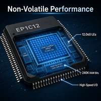 Microcontrôleur IC FPGA EP1C12F256I7N 185 I/O 256FBGA Montage en surface