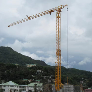 12T QTZ250 Building Tower Crane with