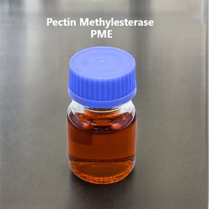 เพคติน เมทิลเอสเทอเรส (PME) เกรดอาหาร สำหรับน้ำผลไม้และเครื่องดื่มผัก 1000u/g ความเข้มข้น <span class=keywords><strong>JOYLONG</strong></span> JOY-PME11 - Product Image 3