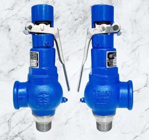 Soupape de sécurité manuelle filetée DN40 de haute qualité en fonte ductile - Product Image 2