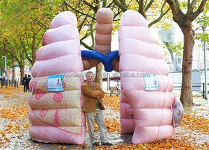 Mô Hình Ống Phổi Bơm Hơi Khổng Lồ Bằng PVC Với Mô Hình Ống Phổi - Product Image 6