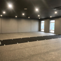 Césped Artificial para Gimnasio con Logotipo Personalizado MCG, Números y Marcadores Impresos
