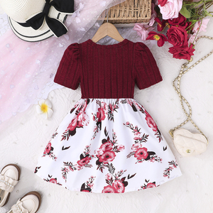 Vestido Formal con Diseño Exquisito y Flores para Niñas de 4 a 8 Años, Elegante para Fiestas de Verano, Transpirable, Suministro ODM, Decoración de Encaje - Product Image 2