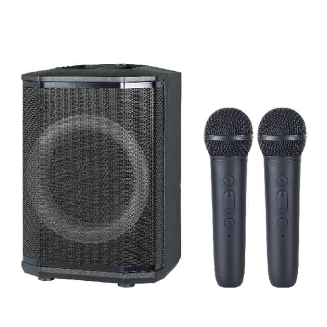 Portable Bluetooth Speaker for Home and Outdoor KTV Wireless Karaoke Bluetooth Speaker