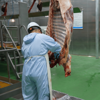 Ligne d'abattage de bétail de grande capacité pour usine d'abattage de bétail de différentes tailles, équipement d'abattoir de bétail