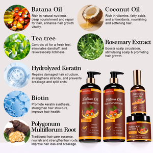 Shampooing Professionnel Bio OEM à l'Huile <span class=keywords><strong>de</strong></span> Batana Pure pour la Croissance Capillaire et la Réparation des Cheveux – Soin Capillaire en Marque Blanche pour Salons - Product Image 3