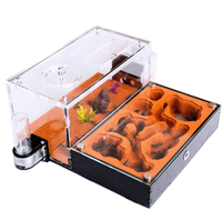 Petite fourmilière en plastique pour nid de colonie de fourmis d'élevage de fourmis en formicarium pour l'école, les sciences, les reptiles et les poissons pour le salon