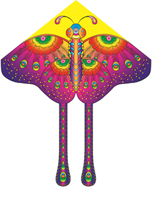 Cerfs-volants Dragon, <span class=keywords><strong>Papillon</strong></span>, Aigle, Jouets d'extérieur pour enfants, Cerfs-volants de dessin animé, Cerfs-volants Diamant, Delta, Bat, Kit pas cher, Livraison gratuite d'usine - Product Image 6