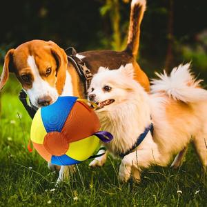 Jouets interactifs pour chiens avec sangles, pour chiens de berger australiens, chiens de bétail, chiens collie, balles pour le jeu des chiens - Product Image 2
