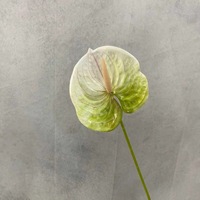 Fleurs artificielles en soie blanches et vertes pour mariage, style forêt, roses et hortensias, décoration de fond extérieur, jardin floral Monet