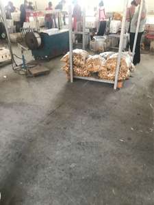 Zenzero Fresco - Piccante, Non-OGM da Fornitori Cinesi Affidabili Zenzero Fresco - Product Image 6