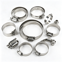 Industrial Hardware Fitting Stainless Steel Bolt Hose Clamp Quick Release Structure for Multiple Hose Diameter Fastening