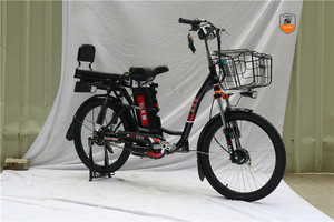 2020 de alta calidad <span class=keywords><strong>bicicleta</strong></span> eléctrica de carga para la venta 48V 350W de la ciudad E <span class=keywords><strong>bicicleta</strong></span> con gran capacidad de carga - Product Image 3