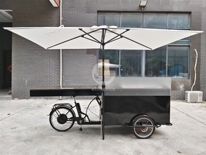 Triciclo de Carga Personalizado de Alta Calidad: Carrito Ligero para Venta de Helados, Dulces y Comida Rápida - Product Image 4