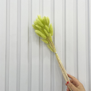 Erba di Coniglio Naturale Essiccata Ecologica, Decorazione <span class=keywords><strong>Boho</strong></span> per la Festa della Mamma e San Valentino - Product Image 3