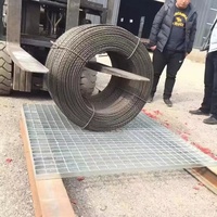 Grille de drainage en acier galvanisé à vente chaude avec protection anticorrosion pour les systèmes de drainage extérieurs de l'industrie lourde et l'utilisation de la toiture
