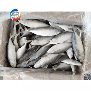 Pescado Caballa India Congelado de Alta Calidad 4-6, Exportadores de Caballa India, <span class=keywords><strong>Precio</strong></span> al por Mayor - Product Image 4