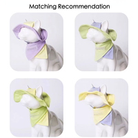 Ensemble Chapeau de Soleil et Bandana Couleur Macaron pour Animaux de Compagnie – Protection UV Estivale, Casquette et Bavoir Anti-Salive Assortis pour Chien – Accessoire d'Extérieur pour Animaux