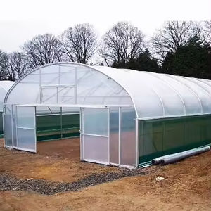 La Chine usine simple portée faible Tunnel <span class=keywords><strong>agricole</strong></span> Film plastique Polytunnel grandir tente en plastique <span class=keywords><strong>hangar</strong></span> serre à <span class=keywords><strong>vendre</strong></span> - Product Image 6