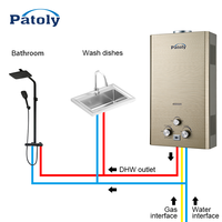 Chauffe-eau instantané à gaz GPL de type cheminée 6L 8L 10L à prix abordable, fonctionnement simple, pour salle de bain domestique et douche