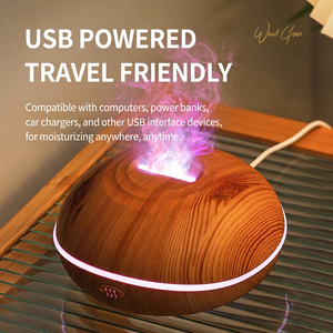 Creative Home EN Model 13 Ultrasonic Aromatherapy Machine Seven-Color Gradient Flame Diffuser USB-Powered Quiet Round <b>Humidifier</b> - Product Image 3
