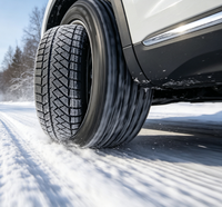 Neumáticos de Invierno para China 245/35R20 265/35R20 285/30R20 305/40R20 - Neumáticos de Nieve de Alta Calidad a Precio Económico