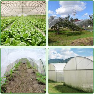 Tissu <span class=keywords><strong>anti</strong></span>-moustiques <span class=keywords><strong>anti</strong></span>-insectes en HDPE vierge 100% protégé contre les UV <span class=keywords><strong>pour</strong></span> la protection des plantes, vente en gros - Product Image 6