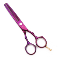 AQIABI Ciseaux de coiffeur professionnels 5.5 ''JP Ciseaux de coupe de cheveux en acier Ciseaux amincissants Pointe pointue Violet A1104 Acier inoxydable