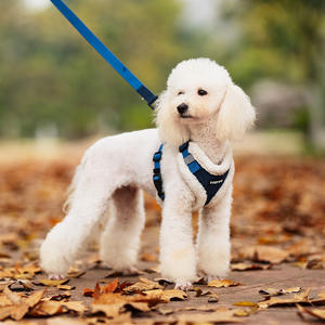 Ensemble de harnais de luxe pour chien formation soutien émotionnel harnais confortable collier et harnais pour chien fournisseurs de créateurs - Product Image 6