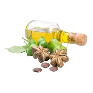 APPROVISIONNEMENT VIETNAM SACHI INCHI RÔTI NOIX AVEC Offre Spéciale - Product Image 1