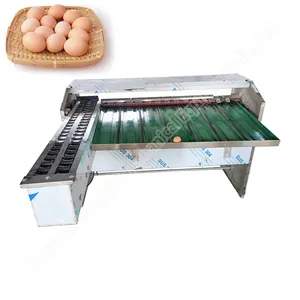 Clasificación y embalaje de huevos Máquina de embalaje de clasificación de huevos eléctrica Equipo de clasificación de huevos por peso