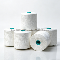 Fil à broder et à coudre en polyester 100% haute ténacité 40S/2, certifié OEKO-TEX, respectueux de l'environnement