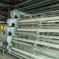 Cage automatique de poulet de batterie de pondeuse d'oeufs galvanisée de type A pour l'équipement de ferme de volaille