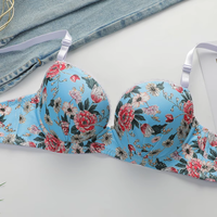 Ensemble de soutien-gorge push-up sexy à imprimé floral de haute qualité pour femmes, deux pièces