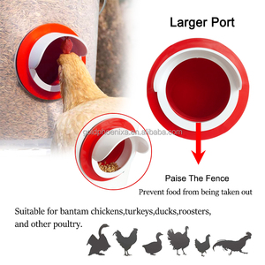 YYC Tự Làm Lớn Gia Cầm Cổng Cho Ăn Gà Trung Chuyển Bộ Dụng Cụ Cho Gà Tây Vịt Ngỗng Với Bìa - Product Image 5